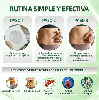 NEW BRANDING - Tienda Oficial | Healrize® Moringa · Berberine × NAD+ 12-en-1 Advanced Nano Microneedle Patch 🇲🇽 (Solo una vez al día, cambios visibles en 7 días) (Copia)